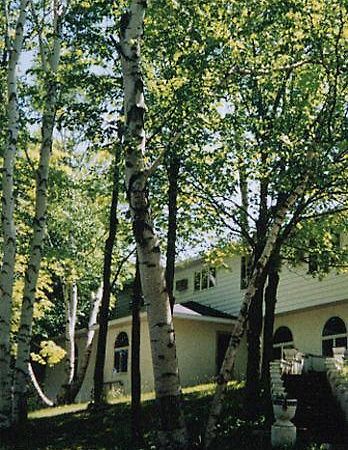 White Birch Inn Sturgeon Bay Eksteriør bilde